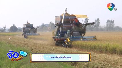 ราคาข้าวร่วงทั้งวงจร