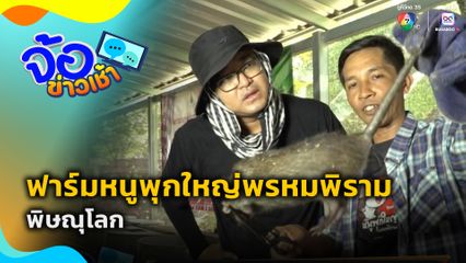 ฟาร์มหนูพุกใหญ่พรหมพิราม จ.พิษณุโลก