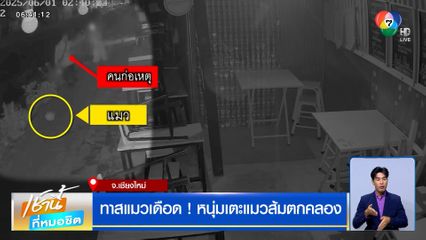 ทาสแมวเดือด ! หนุ่มเตะแมวส้มตกคลอง