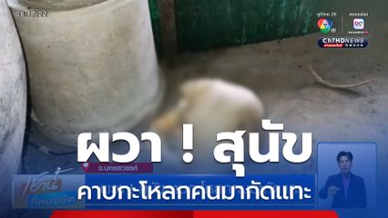 ผวา ! สุนัขคาบกะโหลกคนมากัดแทะ