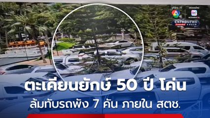 ตะเคียนยักษ์โค่นล้มทับรถยนต์เสียหาย 7 คัน ภายในสำนักงานตำรวจแห่งชาติ 
