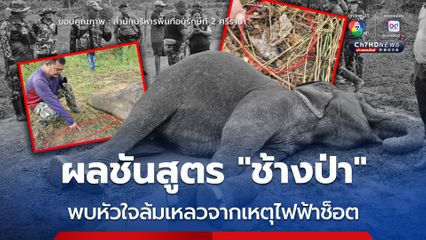 ผลชันสูตร “ช้างป่า” พบหัวใจล้มเหลวจากกระแสไฟฟ้าช็อต