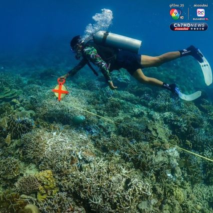 เร่งกู้เรือขนส่งสินค้า เกยตื้นบนปะการัง