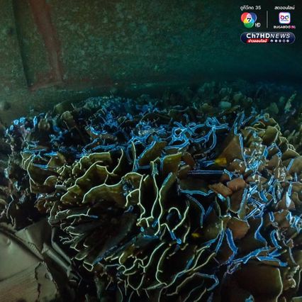 เร่งกู้เรือขนส่งสินค้า เกยตื้นบนปะการัง