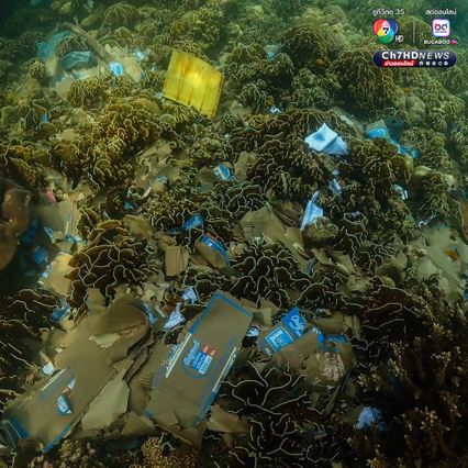 เร่งกู้เรือขนส่งสินค้า เกยตื้นบนปะการัง