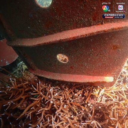 เร่งกู้เรือขนส่งสินค้า เกยตื้นบนปะการัง