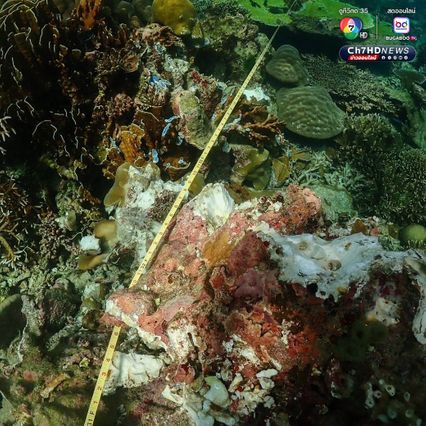 เร่งกู้เรือขนส่งสินค้า เกยตื้นบนปะการัง