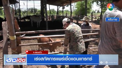 ปศุสัตว์สระแก้ว เร่งสกัดการแพร่เชื้อแอนแทรกซ์