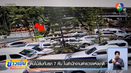 ต้นไม้ล้มทับรถ 7 คัน ในสำนักงานตำรวจแห่งชาติ