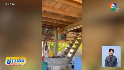 ยายอายุ 80 ปี โหนขื่อบ้าน หนีงูสิงตัวใหญ่