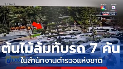 ต้นไม้ล้มทับรถ 7 คัน ในสำนักงานตำรวจแห่งชาติ