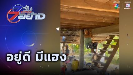 7 วัน 7 อย่าง : อยู่ดี มีแฮง