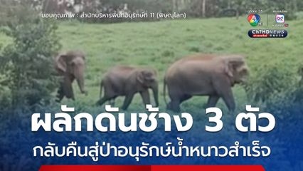 ผลักดันช้าง 3 ตัว กลับคืนสู่ป่าอนุรักษ์น้ำหนาวสำเร็จ