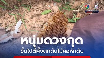 หนุ่มดวงกุด ขึ้นไปตีผึ้งตกต้นไม้คอหักดับ