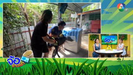 ช่วยวุ่น ! หมาหัวติดโหลพลาสติกเป็นอาทิตย์