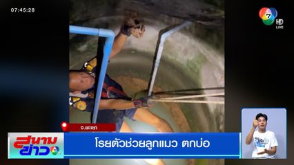 ทุกชีวิตมีค่า ! กู้ภัยโรยตัวช่วยลูกแมวตกบ่อ