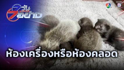 7 วัน 7 อย่าง : ห้องเครื่อง หรือ ห้องคลอด