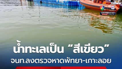 เจ้าหน้าที่เข้าตรวจสอบน้ำทะเลเปลี่ยนเป็น “สีเขียว” บริเวณหาดพัทยา และเกาะลอย จ.ชลบุรี 