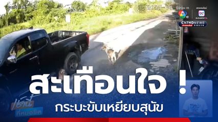 สะเทือนใจ ! รถกระบะขับเหยียบสุนัข