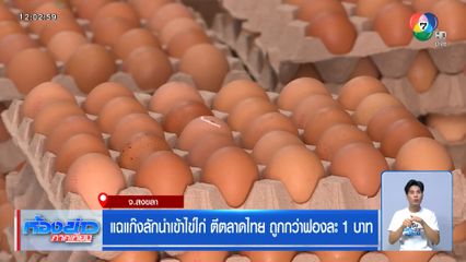 แฉแก๊งลักนำเข้าไข่ไก่ ตีตลาดไทย ถูกกว่าฟองละ 1 บาท