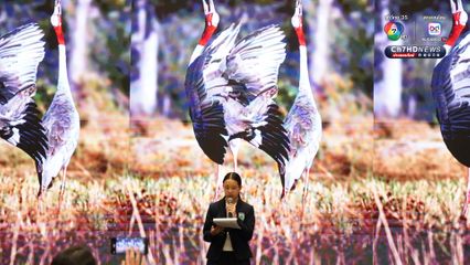 วันสิ่งแวดล้อมโลก 2568 ผนึกกำลังพลังเยาวชน อนุรักษ์สิ่งแวดล้อม รับมือภัยพิบัติ