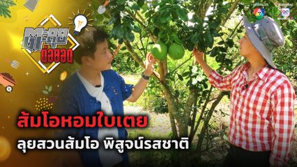 ตะลุยต่อยอด : ชิมรสชาติ ส้มโอหอมใบเตย