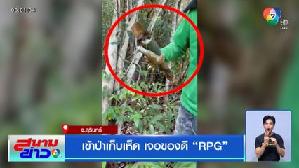 เข้าป่าเก็บเห็ด เจอของดี RPG จ.สุรินทร์