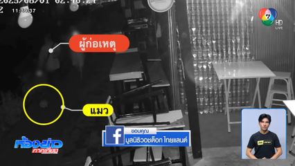 จับแล้ว ! หนุ่มเตะแมว ตกคลองแม่ข่า