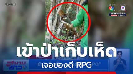 เข้าป่าเก็บเห็ด เจอของดี RPG จ.สุรินทร์