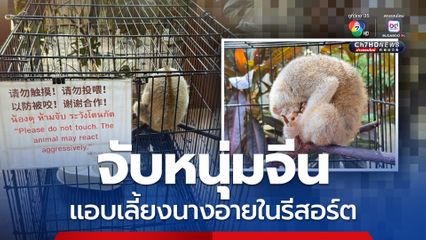 ปทส. ค้นรีสอร์ต จับหนุ่มจีน แอบเลี้ยงนางอาย สัตว์ป่าคุ้มครอง เปิดให้นักท่องเที่ยวชม