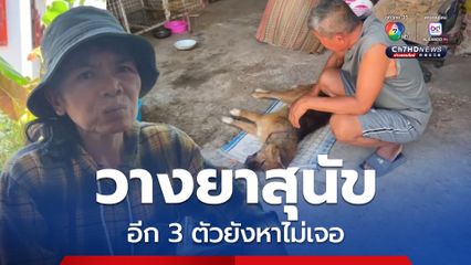 เจ้าของสุดเศร้า! สุนัขถูกคนใจบาปวางยาเบื่อ ตาย 1 อีก 3 ตัวยังหาไม่เจอ