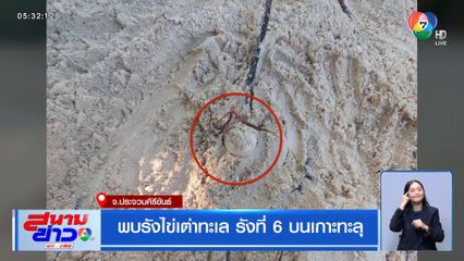 พบรังไข่เต่าทะเล รังที่ 6 บนเกาะทะลุ