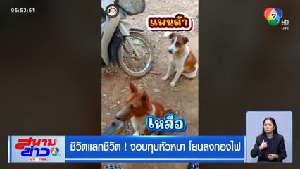 ชีวิตแลกชีวิต ! จอบทุบหัวหมา โยนลงกองไฟ