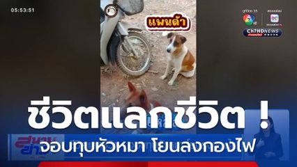 ชีวิตแลกชีวิต ! จอบทุบหัวหมา โยนลงกองไฟ