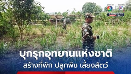 รวบกลุ่มคนบุกรุกพื้นที่ป่า สร้างที่พัก, ปลูกพืช และเลี้ยงสัตว์ ในอุทยานแห่งชาติเขาแหลม