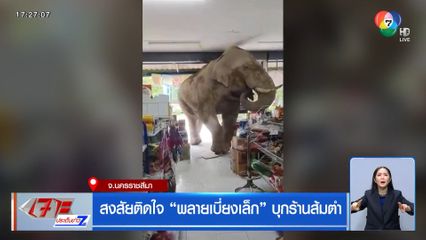 สงสัยติดใจ พลายเบี่ยงเล็ก บุกร้านส้มตำ