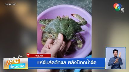 แห่จับสัตว์ทะเล หลังน็อกน้ำจืด