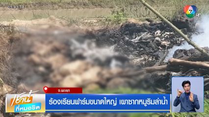 ร้องเรียนฟาร์มขนาดใหญ่ เผาซากหมูริมลำน้ำ