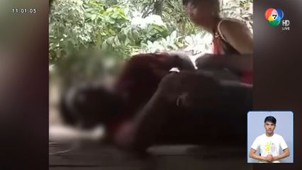 ชายสติหลุดชนดะ ที่แท้เมายา