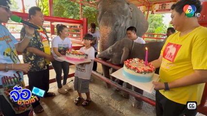 ช้างแฝดต่างเพศ ฉลองอายุครบ 1 ปี