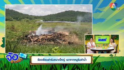 ร้องเรียนฟาร์มขนาดใหญ่ เผาซากหมูริมลำน้ำ