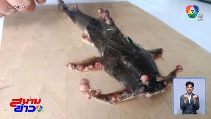 ปลาติดเชื้อพุ่ง จี้รัฐบาลเจรจาปิดเหมือง