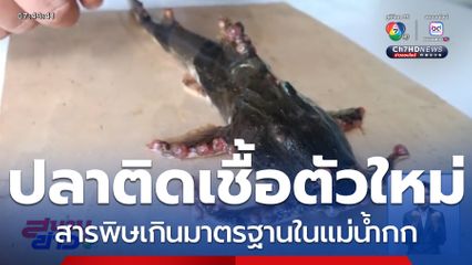 ปลาติดเชื้อพุ่ง จี้รัฐบาลเจรจาปิดเหมือง