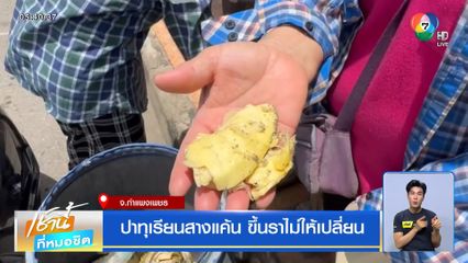 ปาทุเรียนสางแค้น ขึ้นราไม่ให้เปลี่ยน