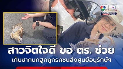 สาวจิตใจดี ขอความช่วยเหลือจากตำรวจจราจร เก็บซากนกฮูกถูกรถชนส่งศูนย์อนุรักษ์ฯ