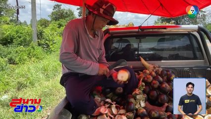 เหมาต้นตาลข้ามปี เก็บผลเฉาะขายริมทาง จ.ขอนแก่น