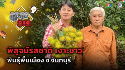ตะลุยต่อยอด : พิสูจน์รสชาติ เงาะขาว พันธุ์พื้นเมือง