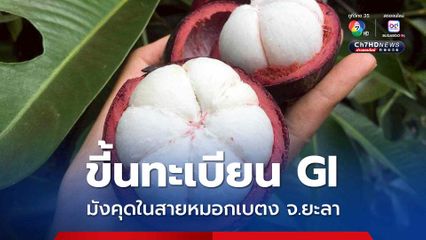 “มังคุดในสายหมอกเบตง” จ.ยะลา ขึ้นทะเบียน GI แล้ว ดันส่งออกไปต่างประเทศคึกคัก