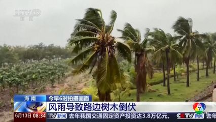พายุโซนร้อน หวู่ติ๊บ พัดถล่มชายฝั่งตอนใต้ของจีน