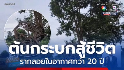 ต้นกระบกสู้ชีวิต รากลอยในอากาศกว่า 20 ปี